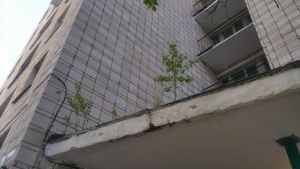 козырек старый снизу (2).jpg